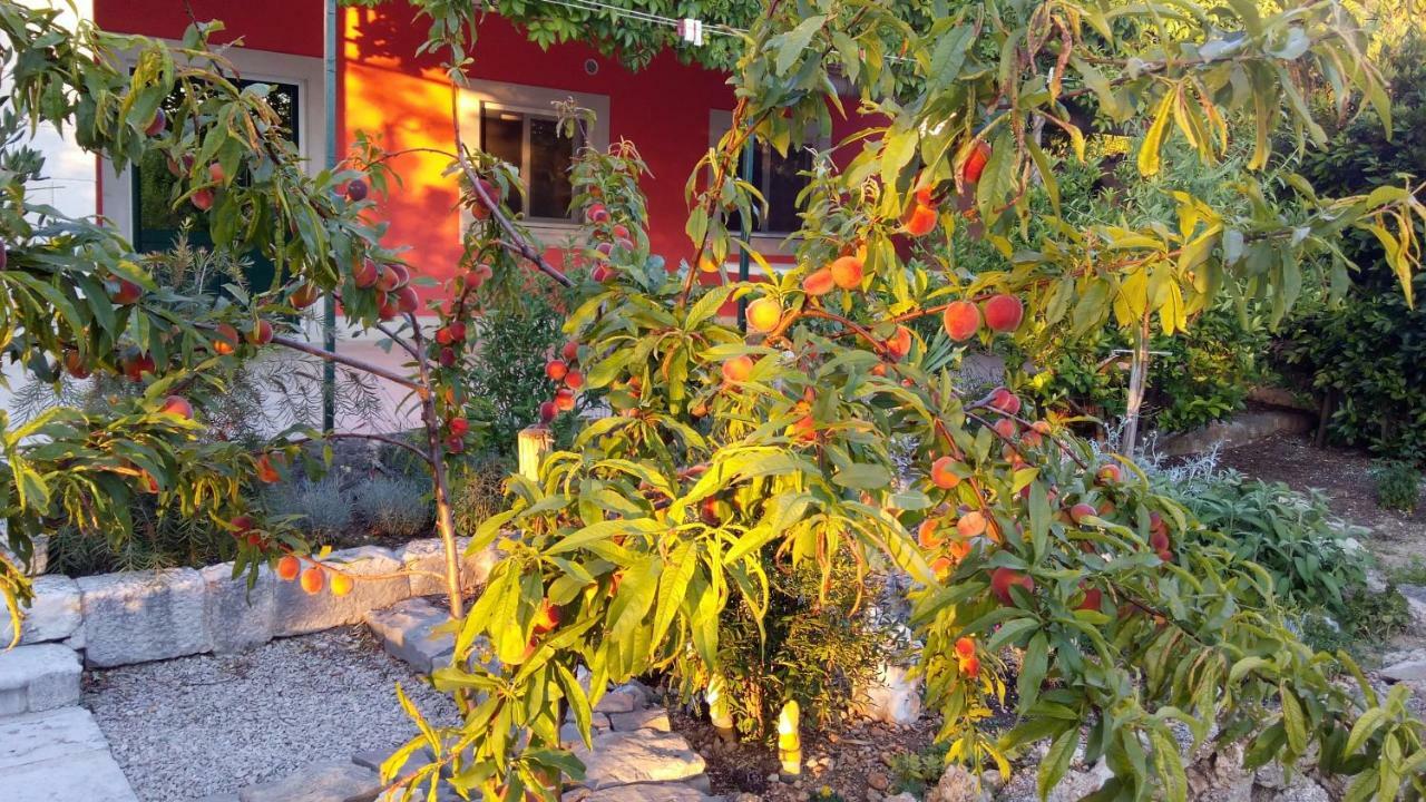Apartment Vila Volicija Makarska Exterior foto